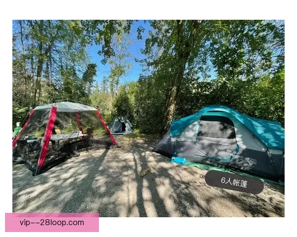 2026世界杯主办城市多伦多将为球迷打造专属临时露营地