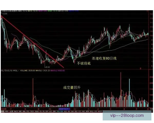 解读世界杯出线形势的十个关键数据全景深度解析报告趋势研判
